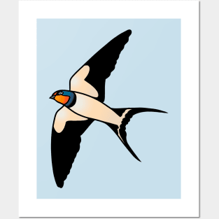 Swallow Posters and Art